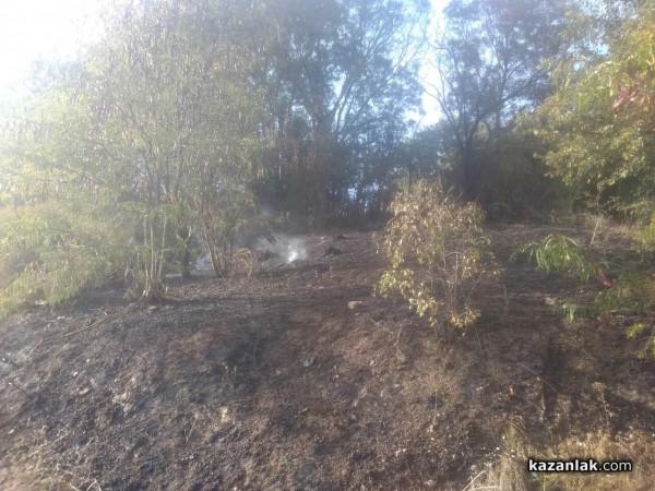 Пламнаха треви край Тюлбето