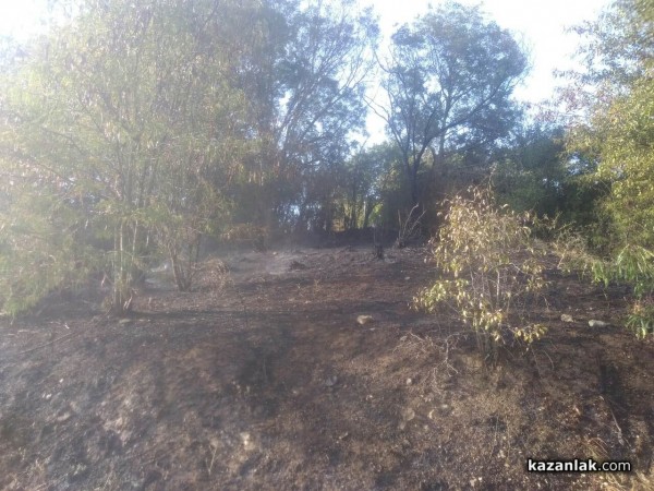 Пламнаха треви край Тюлбето