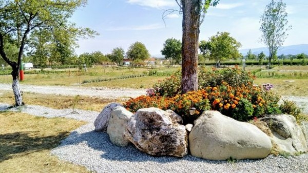 Догодина ще отвори най-големият къмпинг в Розовата долина