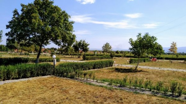 Догодина ще отвори най-големият къмпинг в Розовата долина