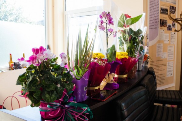 Детска академия по програмиране и роботика ИКТ Център отпразнува юбилей 101