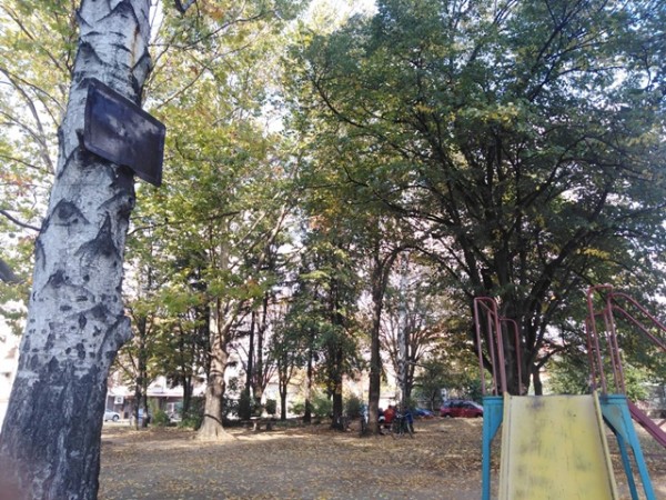 “Едно раздаване“ на картоиграчите за инж. Стоян Петров