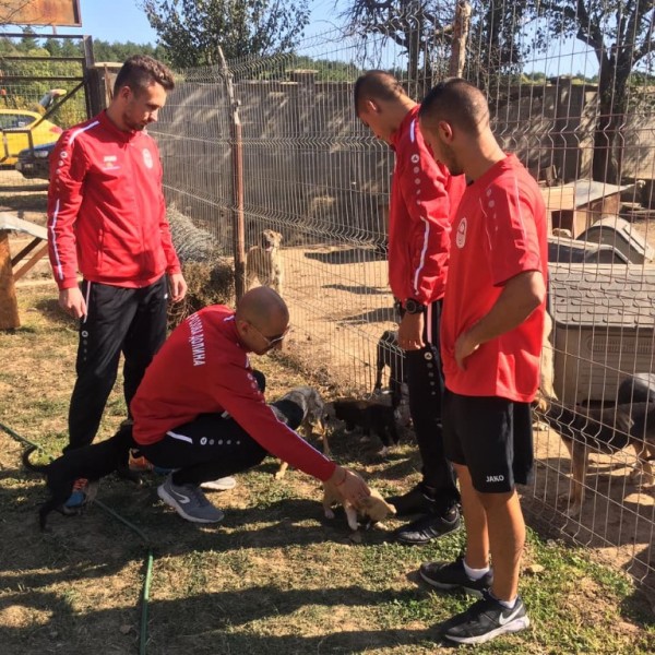 “Розите“ с дарение за приюта за бездомни животни