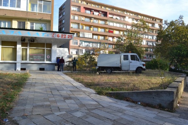 Вандали “убиха“ дървета и извадиха павета в Казанлък