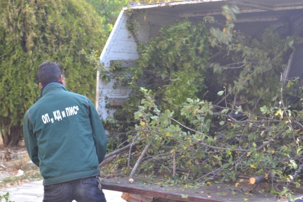 Вандали “убиха“ дървета и извадиха павета в Казанлък