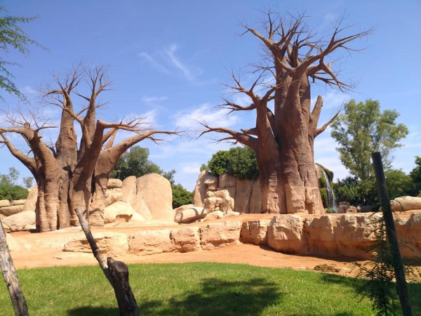 Преподаватели от ИКТ Център преминаха обучение по Еразъм +