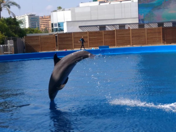 Преподаватели от ИКТ Център преминаха обучение по Еразъм +