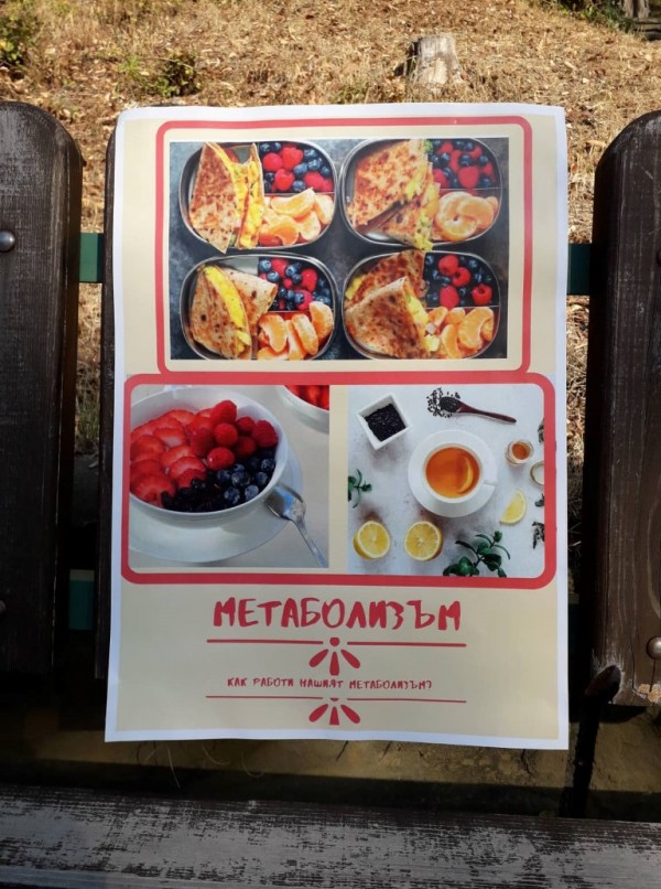 Казанлъшки ученици премериха сили в кросово бягане