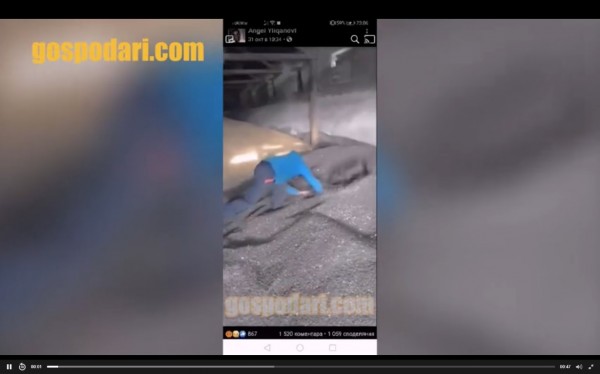 Мъж се гаври и изтезава малко кученце