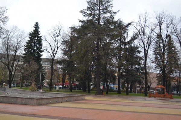 На 13 декември ще грейне коледната елха в Казанлък