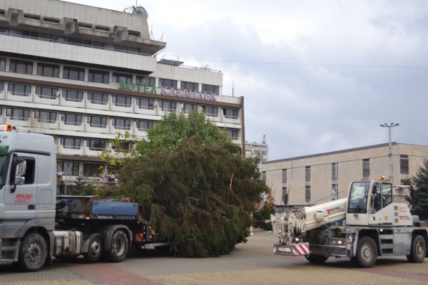 На 13 декември ще грейне коледната елха в Казанлък