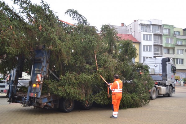 На 13 декември ще грейне коледната елха в Казанлък