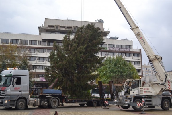 На 13 декември ще грейне коледната елха в Казанлък