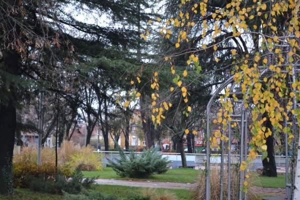 На 13 декември ще грейне коледната елха в Казанлък