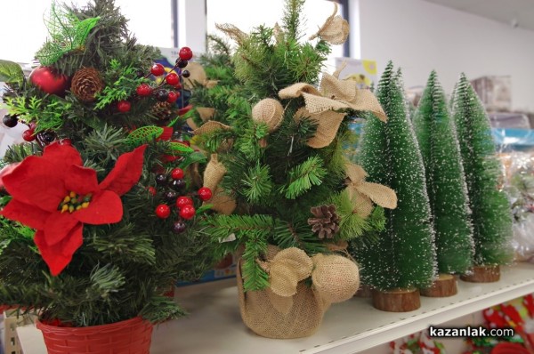 Направи Коледата още по-вълшебна с Всичко за Дома