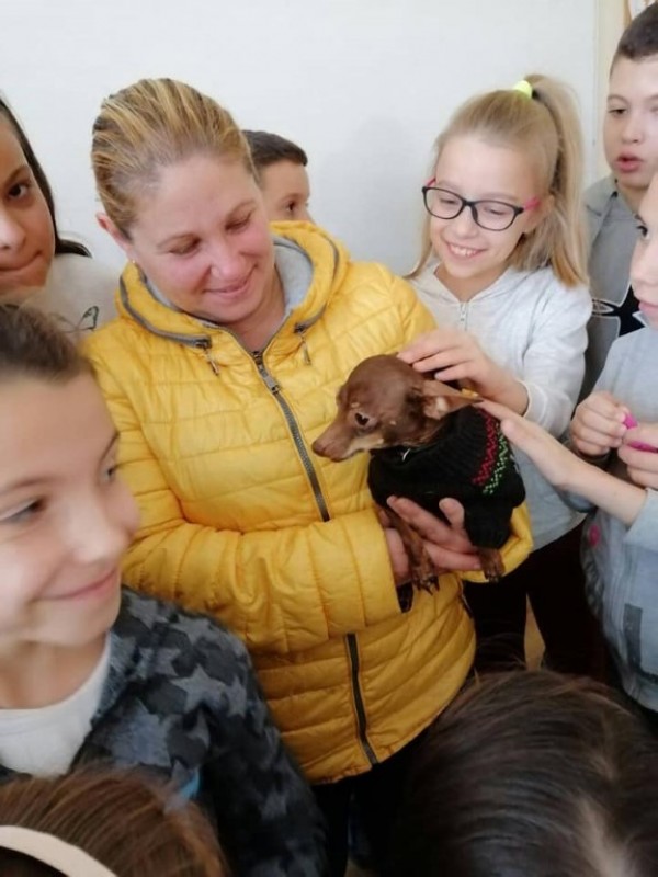 Ученици от “Кулата“ с жест към бездомните животни. Дариха кучешки дом