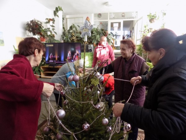 Грейна Коледната елха в Дом 3