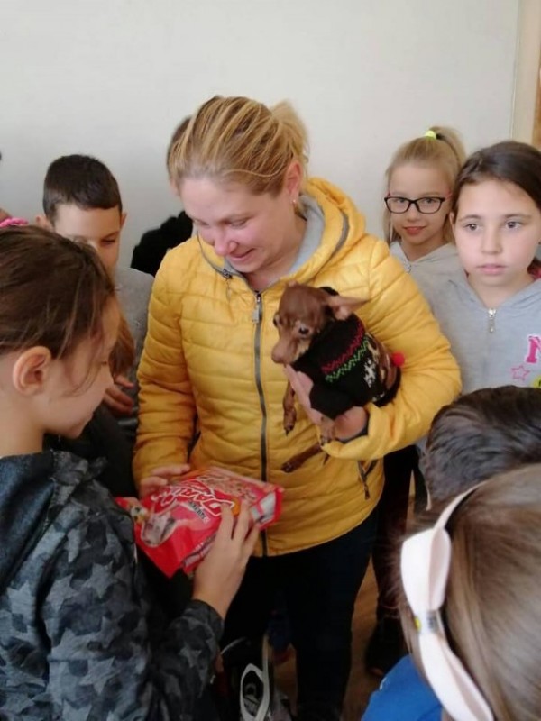 Ученици от “Кулата“ с жест към бездомните животни. Дариха кучешки дом