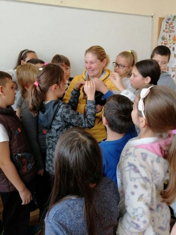 Ученици от “Кулата“ с жест към бездомните животни. Дариха кучешки дом