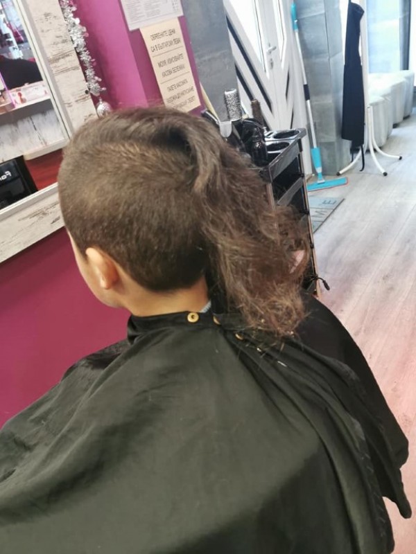 Ученици от “Кулата“ с жест към бездомните животни. Дариха кучешки дом