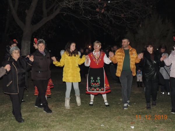 Енина грейна в коледни светлини