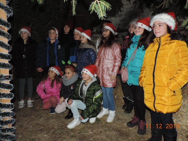 Енина грейна в коледни светлини