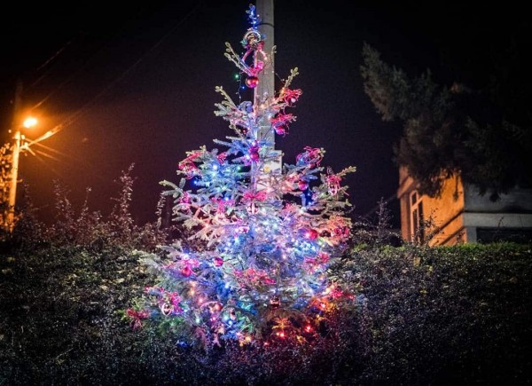 Дядо Коледа запали коледните светлини в Шипка