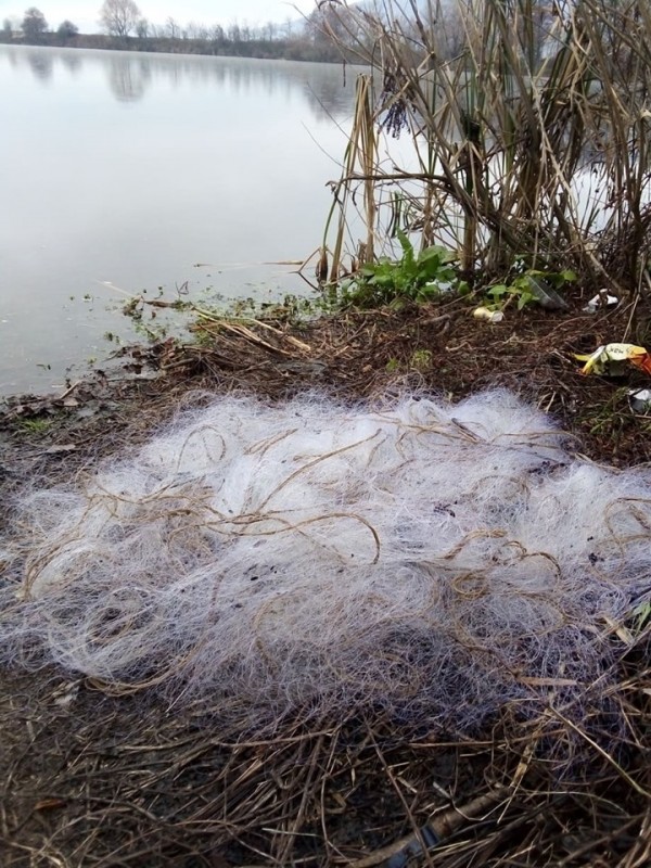 Бракониери си спретнаха екшън с преследване на яз. Жребчево