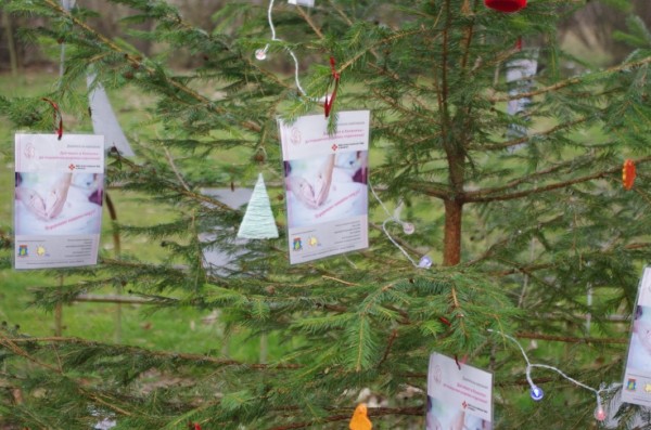 МГЕРБ подариха 7 коледни дръвчета в подкрепа на АГ отделението на МБАЛ в Казанлък