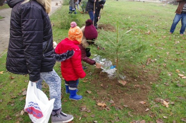 МГЕРБ подариха 7 коледни дръвчета в подкрепа на АГ отделението на МБАЛ в Казанлък