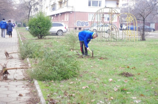 МГЕРБ подариха 7 коледни дръвчета в подкрепа на АГ отделението на МБАЛ в Казанлък