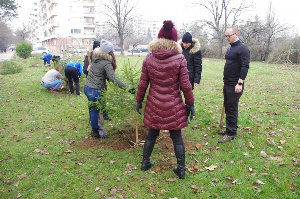 МГЕРБ подариха 7 коледни дръвчета в подкрепа на АГ отделението на МБАЛ в Казанлък