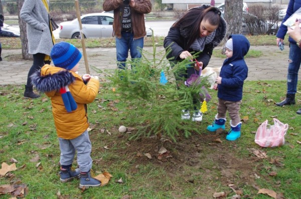 МГЕРБ подариха 7 коледни дръвчета в подкрепа на АГ отделението на МБАЛ в Казанлък
