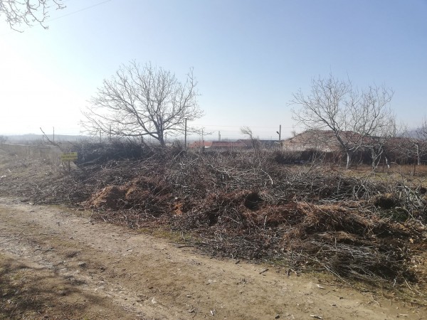 Веси Панайотова: Решаването на екологичните проблеми е всеобща грижа