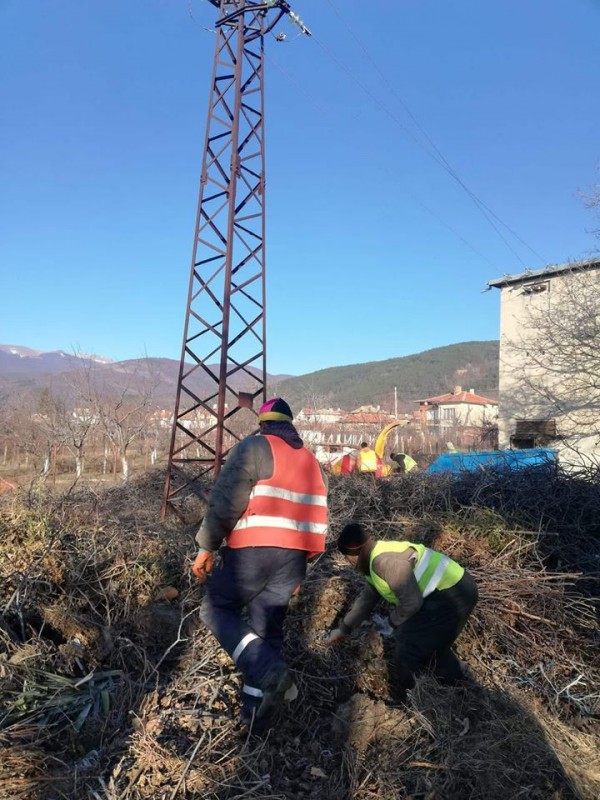Веси Панайотова: Решаването на екологичните проблеми е всеобща грижа