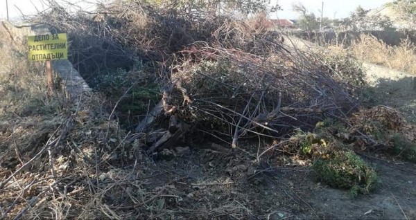 Веси Панайотова: Решаването на екологичните проблеми е всеобща грижа