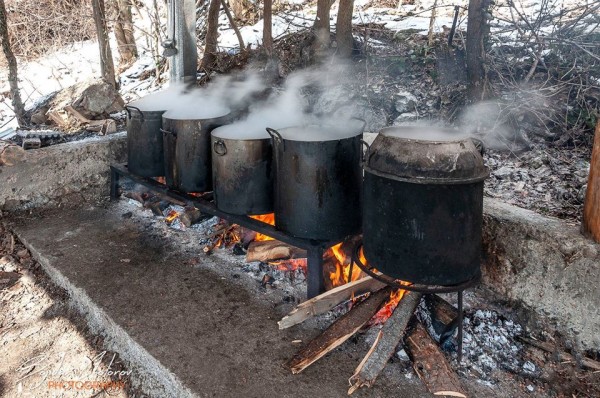 Духът на празника Трифон Зарезан и тази година ще се пренесе в Шипка