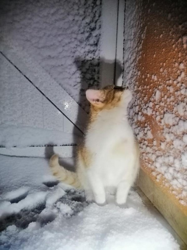 Град Шипка се възстановява след снежния капан