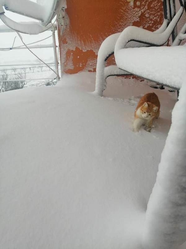 Град Шипка се възстановява след снежния капан