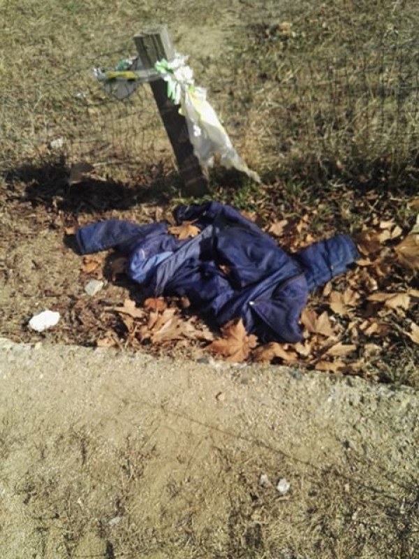 Трябва ли да се глобяват стопаните, които не почистват след кучето си?