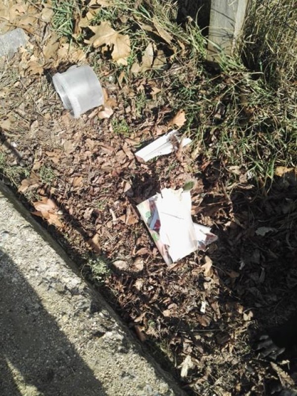 Трябва ли да се глобяват стопаните, които не почистват след кучето си?