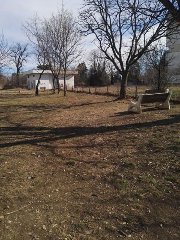 Трябва ли да се глобяват стопаните, които не почистват след кучето си?