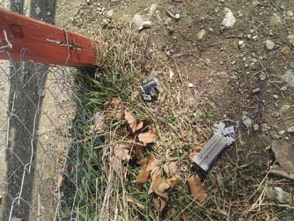 Трябва ли да се глобяват стопаните, които не почистват след кучето си?