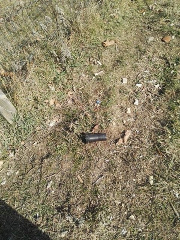 Трябва ли да се глобяват стопаните, които не почистват след кучето си?