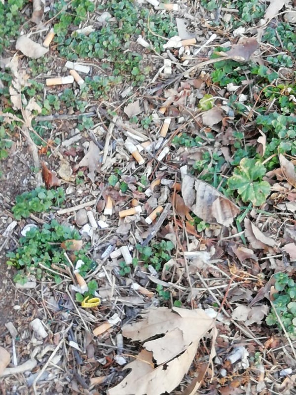 Кармен бе пръв. Последва го и Изток 33