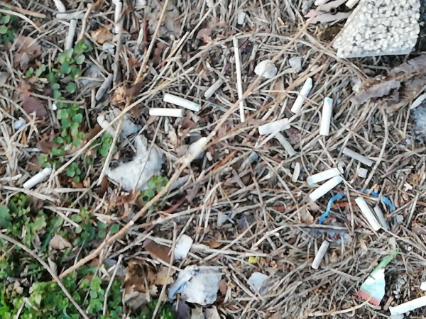 Кармен бе пръв. Последва го и Изток 33