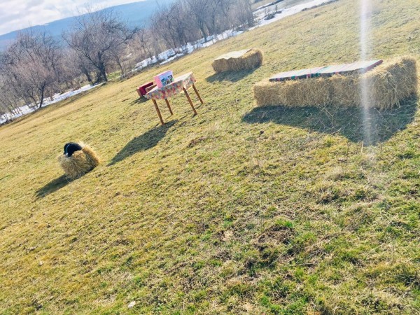 400 лв събраха казанлъчани в Подкрепа на Ици