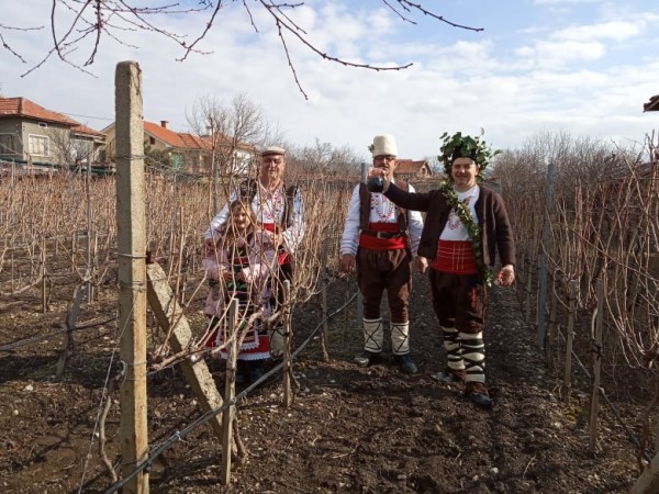 И в Ясеново зарязаха лозите с винен конкурс