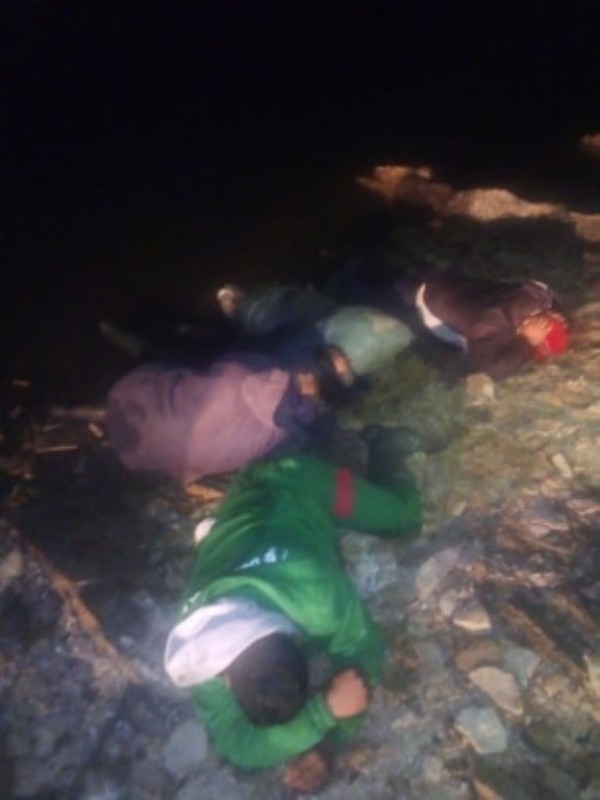 Спасиха огромно количество трофейни риби от бракониери, сред които и 50 кг. сом 