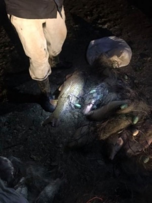 Екшън с бракониери завърши с акт за 4 хил.лв